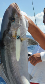 Amberjack fishing cancun- fishing trips cancun